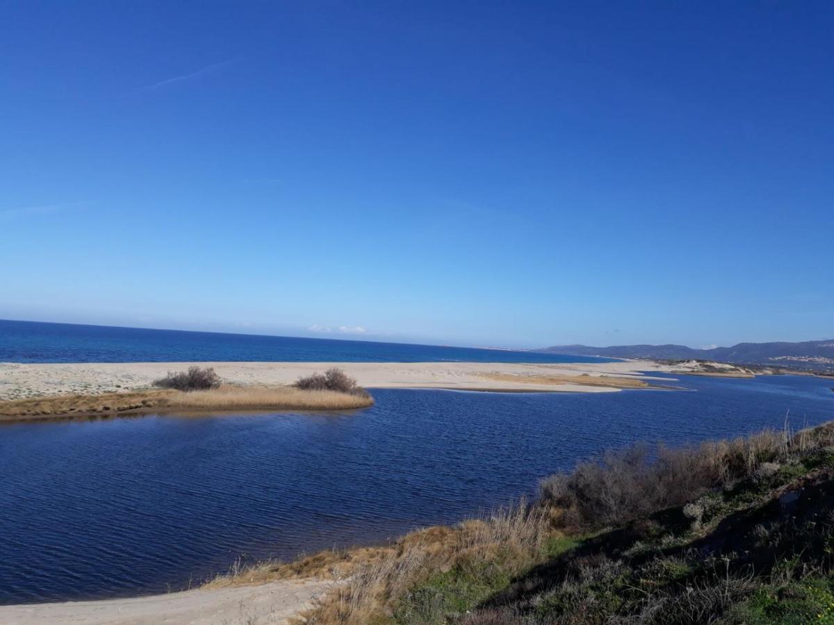 Gli Ulivi Apartamento Valledoria  Quarto foto